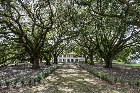 Louisiana History | Whitney Plantation