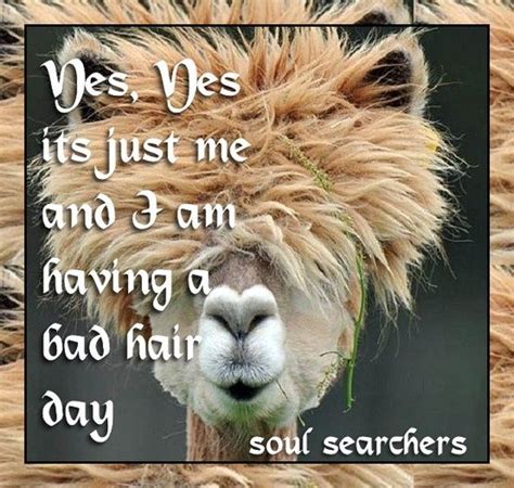 bad hair day quotes | Having a bad hair day... | Quotes Life's Lil Insights | quotes with pics ...