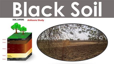 Black Soil - Location, Types, Nature, Crops - AAtoons Study