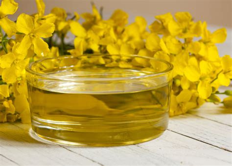 Rapeseed Oil: A new way to enjoy a healthy British produce