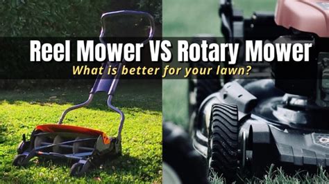 Reel Mower vs Rotary Mower | What’s Better for Your Lawn? - The Backyard Pros