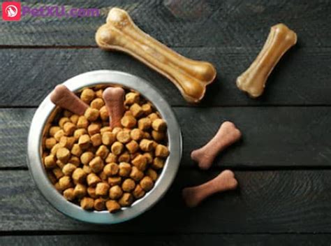 Low Protein Dog Food: When? Dry or Canned Varieties & Homemade Recipes - PetXU