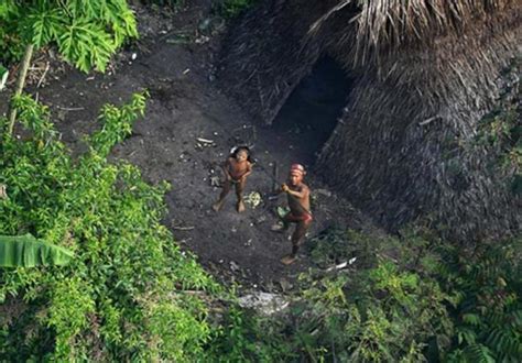 400 plus indigenous tribes under threat as Amazon burns - Nexus Newsfeed