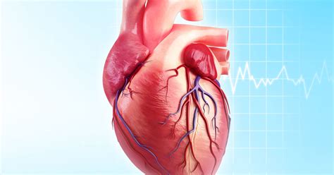 CT Heart Scan Procedure : Learn About Heart CT Scan and Risk