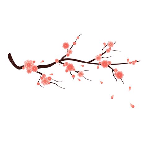 Ilustrasi Bunga Sakura Musim Semi, Bunga Sakura, Musim Semi, Floral PNG ...