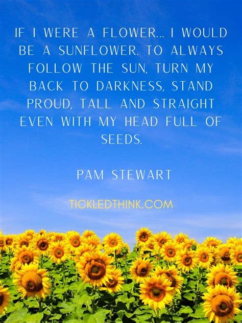 60+ Cute Sunflower Quotes and Sayings to Brighten your Day - Tickled Think