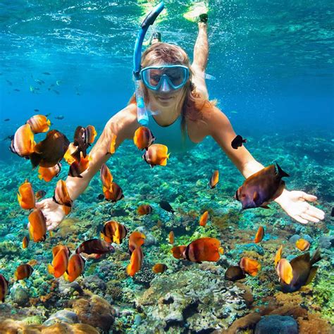 Nusa Penida 1 Day Tour & Snorkeling | Bali Tour Packages | Bali Tour Operators | Bali Tour Company