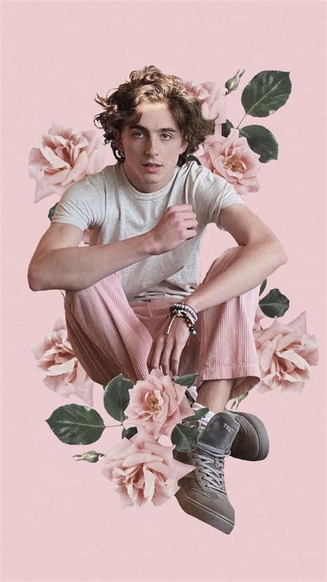 Timothee Chalamet Aesthetic Pink | Hot Sex Picture