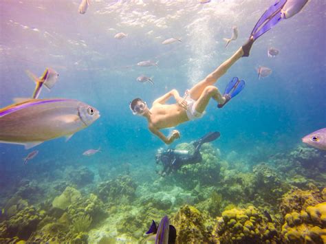 Catalina Island Snorkeling excursion in the Dominican Republic