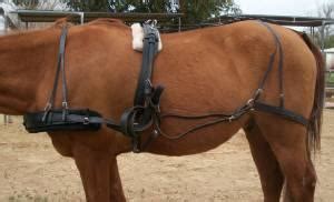 Amish Made Horse Harness - (Waddell, AZ) for Sale in Prescott, Arizona ...