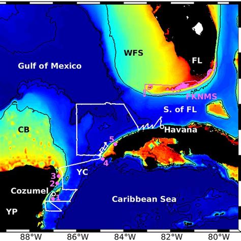 Bathymetry (m) of the southeastern Gulf of Mexico and northwestern... | Download Scientific Diagram