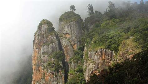 35 Places To Visit In Kodaikanal In 2023 That Make It A Paradise