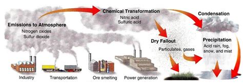 Day 8: Human Threats - Industrial Pollution - A Single Butterfly: