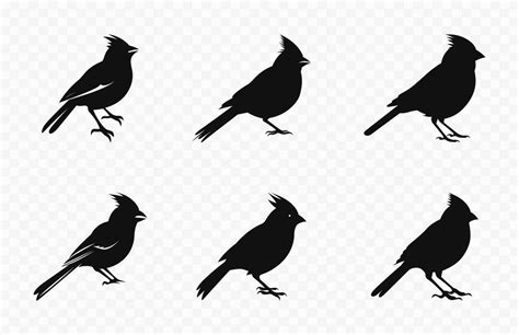 Northern Cardinal Bird Silhouettes Vector Set, Set of Cardinal Bird ...