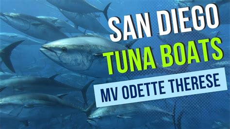 Purse Seining San Diego | MV Odette Therese Tuna Fishing - YouTube