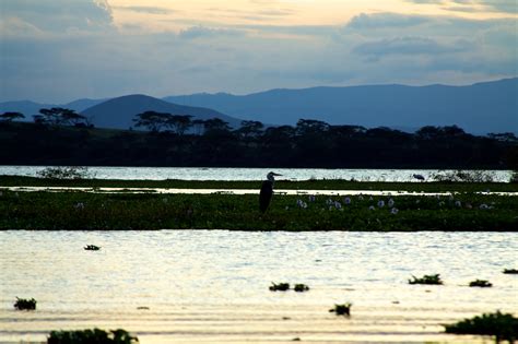 Lake Naivasha, Kenya Sunrise Sunset Times