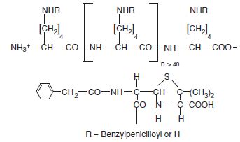 Pre-Pen (Benzylpenicilloyl Polylysine Injection): Side Effects, Uses, Dosage, Interactions, Warnings