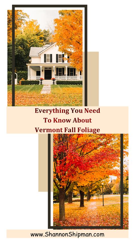 All You Need to Know about Vermont Fall Foliage | Shannon Shipman