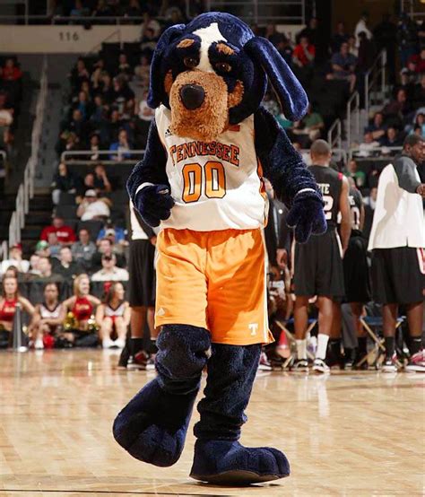 Tennessee Volunteers mascot Smokey cheers on the Vols at a UT ...