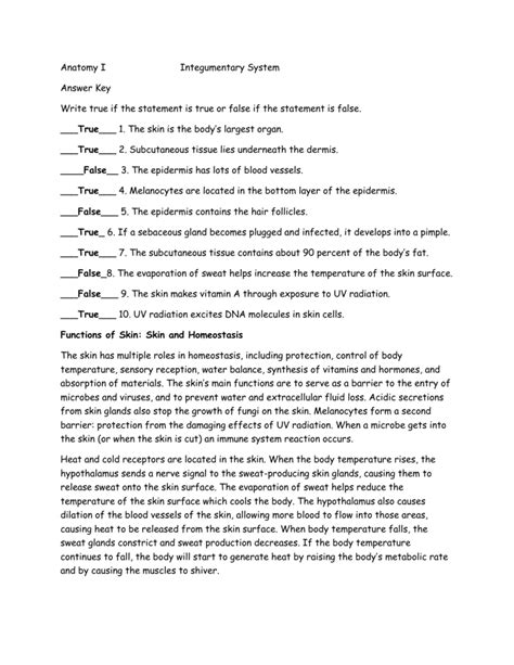 Integumentary System Worksheet Answers – Englishworksheet.my.id