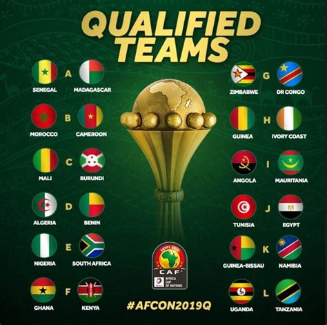 Les 24 sélections qualifiées pour la Coupe d'Afrique des Nations 2019