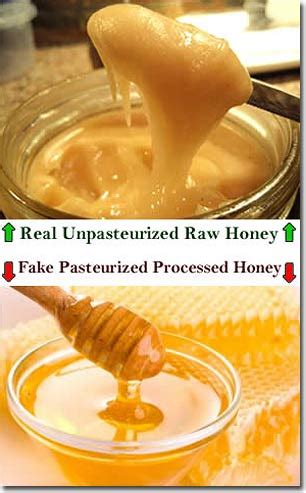 There Are Shocking Differences Between Raw Honey and the Processed Golden Honey Found in Grocery ...