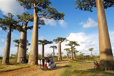 Madagascar Travel Guide: Essential Facts and Information