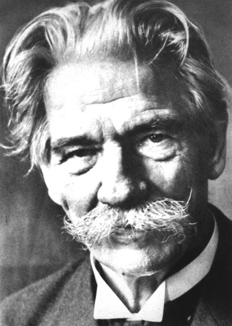 Dr Albert Schweitzer Quotes. QuotesGram