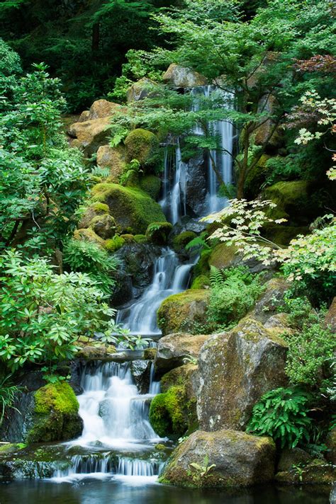 Waterfall, Portland Japanese Garden | Dave Wilson Photography