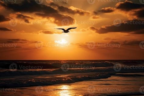 A flying seagull silhouette in sunset sky and beach. AI Generative ...