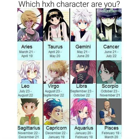 Which hxh character are you? Based on zodiac signs in 2021 | Hxh meme ...