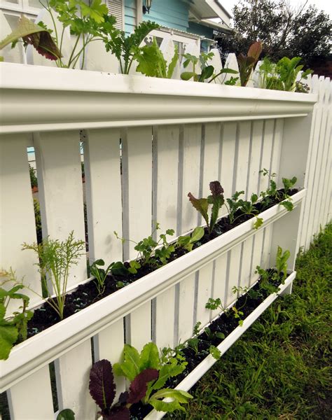 My vertical veggie community garden | Rediscover