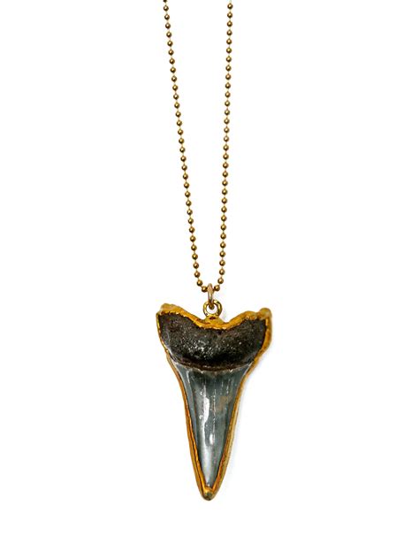 mako SHARK tooth necklace – Kei Jewelry