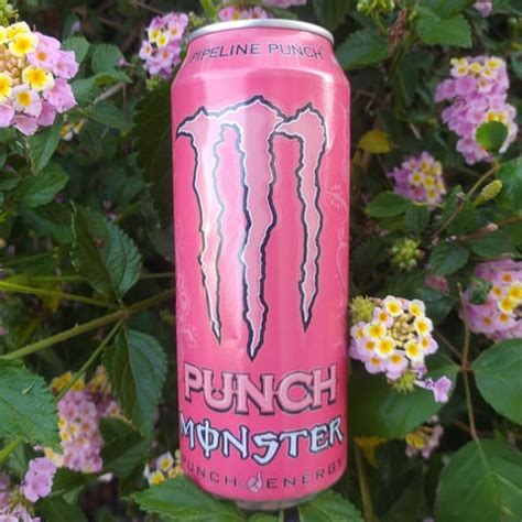 Monster Energy Pipeline Punch Reviews | abillion