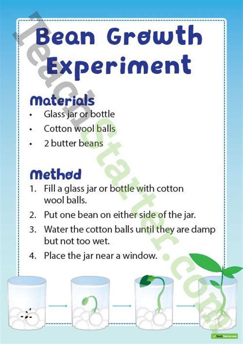 Teaching Resource Experiment Bean Teaching Resource Science Inquiry, Science Teaching Resources ...