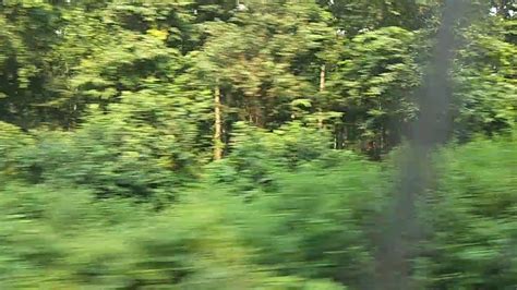 Gorakhpur kusumhi jangal forest from train - YouTube