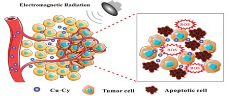 UTA physicist awarded U.S., international patents on material that attacks multiple cancers ...