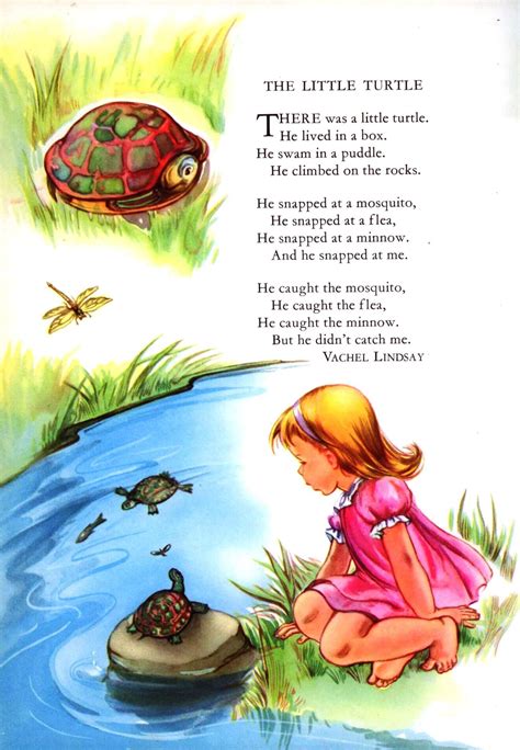 THE LITTLE TURTLE: a Singable Illustrated Poem | Kids poems, Poetry for ...