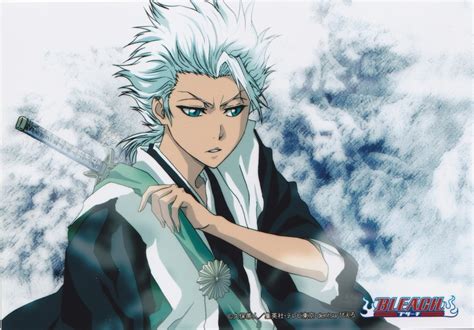 HITSUGAYA - Bleach Anime Photo (22743473) - Fanpop