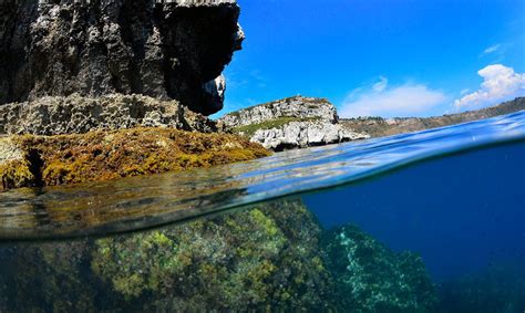 Awesome diving in Sicily - Capo Milazzo | Scubashooters.net