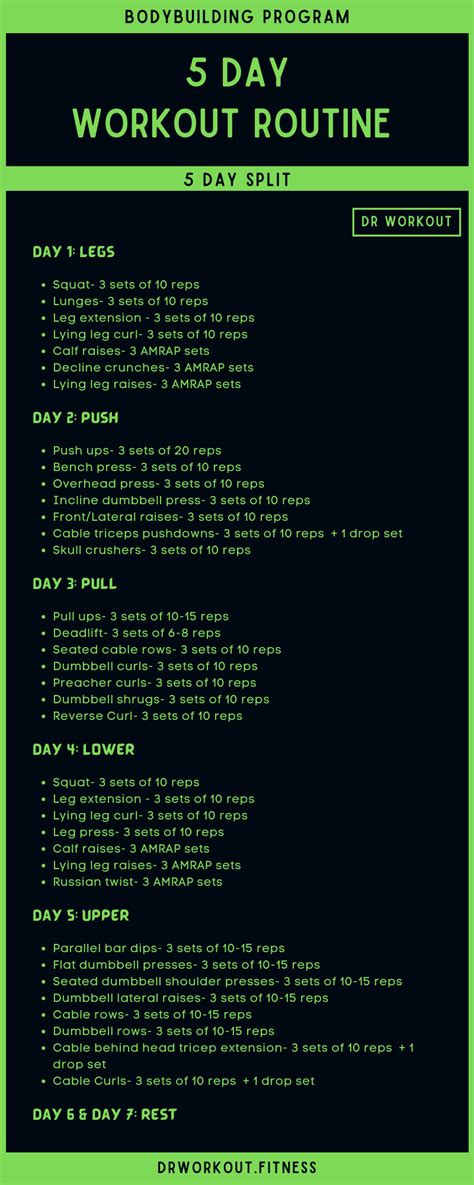 5 Day Workout Routine (with PDF) | Dr Workout