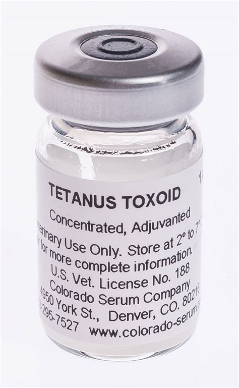 Tetanus Toxoid Concentrate | Santa Cruz Animal Health