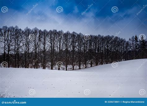 Abstract Flag of Estonia. Beautiful View of Winter Landscape with Blue ...