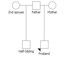 Adding a Half-Sibling – Progeny Genetics