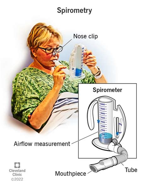 Pulmonary Function Test: Purpose, Procedure & Results