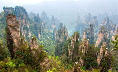 Zhangjiajie Stone Forest - China's Avatar Mountains?