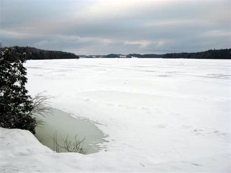 Shelburne Pond - Trail Finder