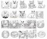 20 Printable Coloring Pages Of Various Cats  Etsy sketch template