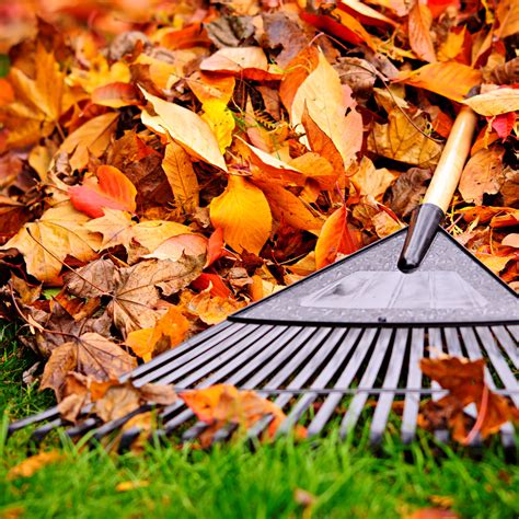 Take a Break – Retire your Rake! | Watchic Lake Association