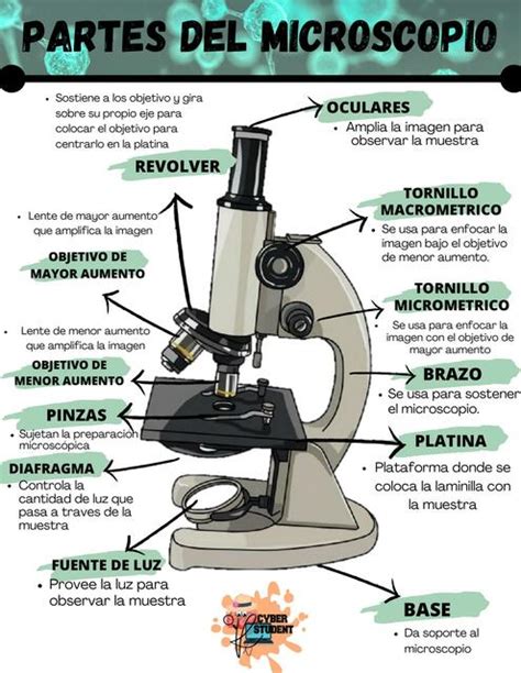 cojo El otro día Arrestar las partes del microscopio optico sala victoria ellos